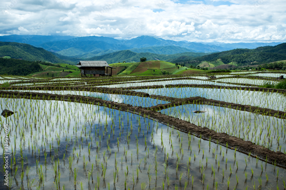 Traditional agriculture in Northern Thailand. Traditional agriculture in Northern Thailand.