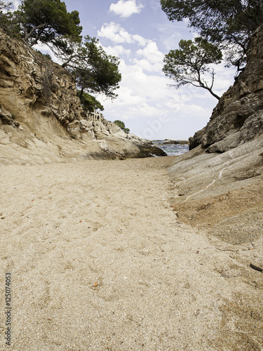 Waves on sea shore