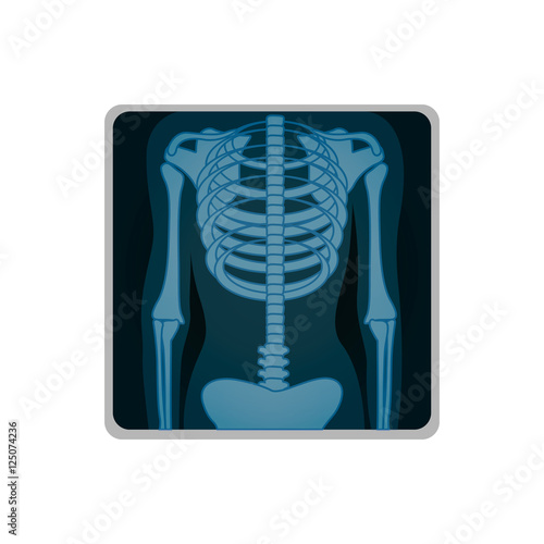 chest x-ray icon image vector illustration design 