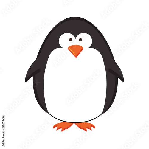 penguin cartoon icon image vector illustration design 