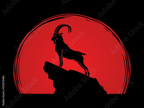Ibex standing on the cliff designed on sunset background graphic vector.