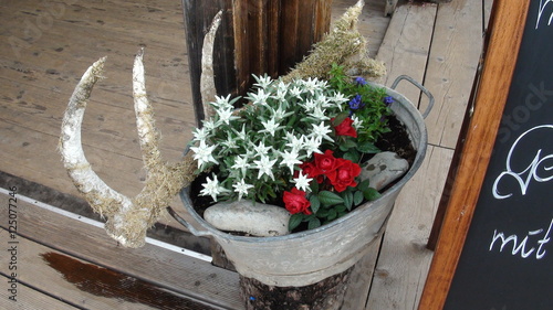 Flower Container