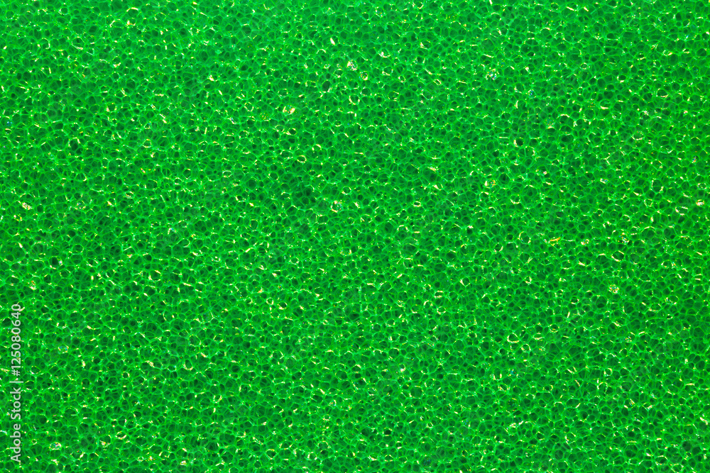 Fototapeta premium texture of green polymeric foam material