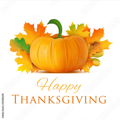 Happy thanksgiving day greeting card. Holiday vector background.