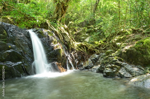 Waterfall in dry evergreen forest,chet khot north waterfall,thailand. 

