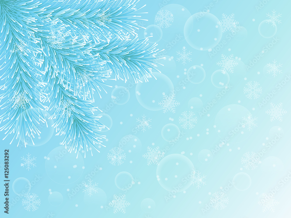 Blue spruce on a winter background. Christmas tree and snowflakes. 
