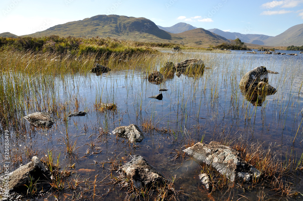 Scottish landscape Scottish landscape