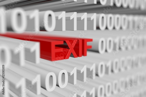 EXIF in binary code with blurred background 3D illustration