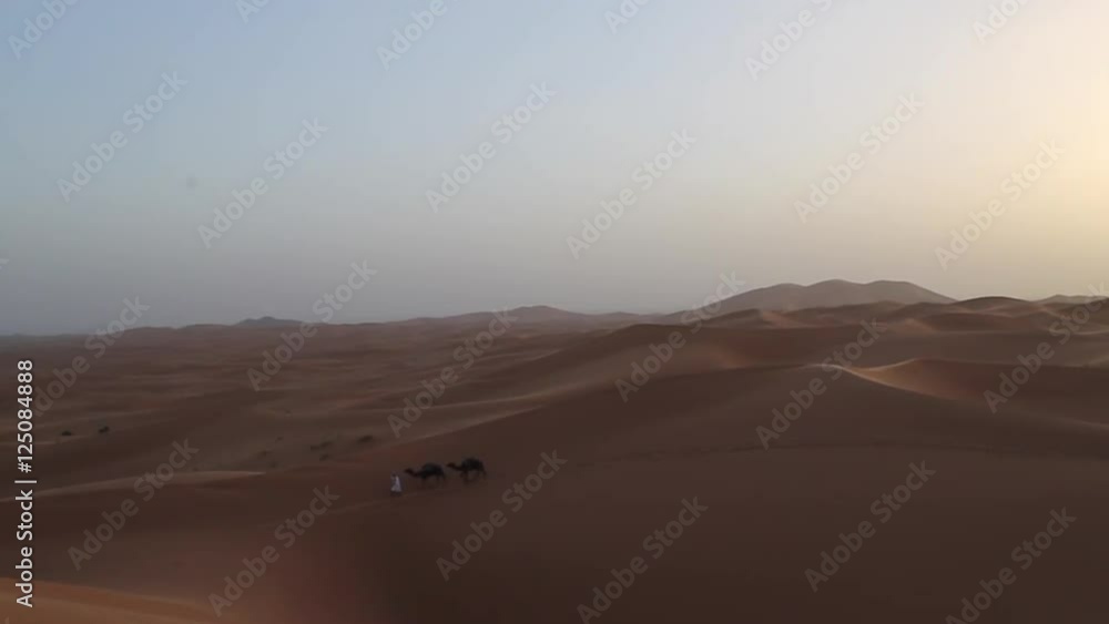 Sand dunes with camels, wide establishing, Morocco, Sahara Dessert. Sand dunes with camels, wide establishing, Morocco, Sahara Dessert.