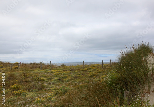 L or des rivages atlantique.