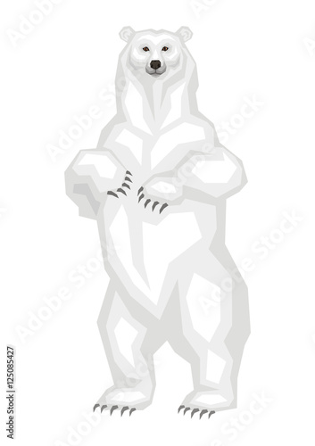 The great polar bear.  Vector image of a predatory animal. Isolated on a white background.