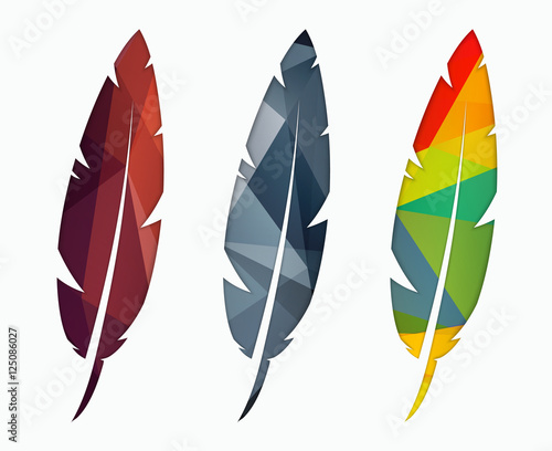 Set of colored feathers. Abstract polygonal element