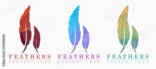 Logo design with bird feather. Abstract polygonal element