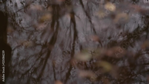 The girl goes through a puddle which reflects leafless autumn trees