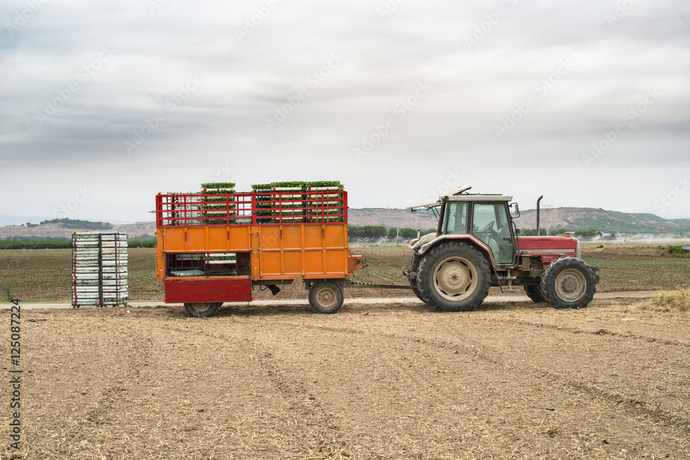 Obraz premium Tractor trailer loaded with seedlings
