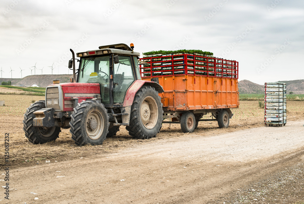 Obraz premium Tractor trailer loaded with seedlings