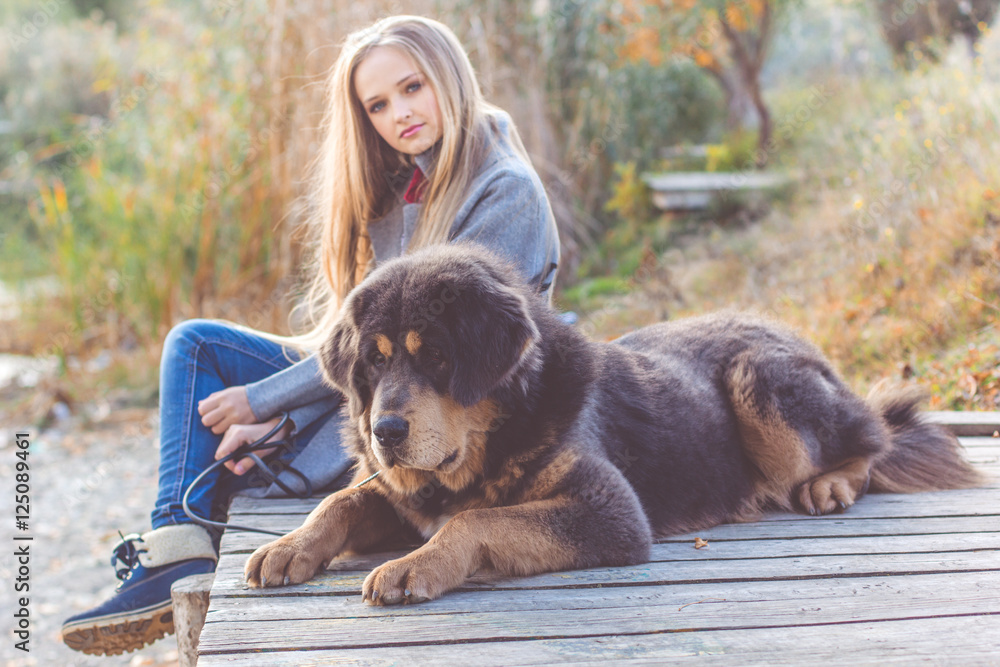 Beautiful Girl With Tibetan Mastiff On The Nature Stock Photo Adobe Stock Beautiful Girl With Tibetan Mastiff On The Nature Stock Photo Adobe Stock