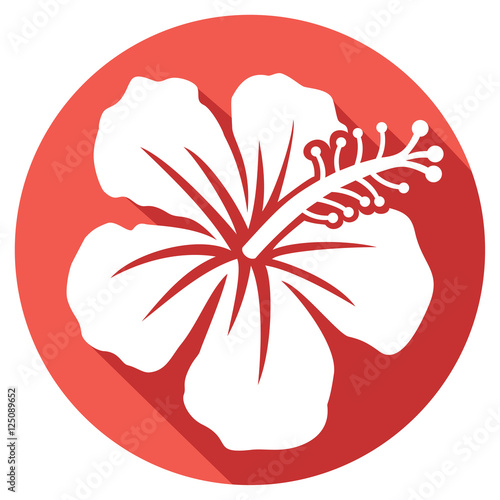 hibiscus flower flat icon