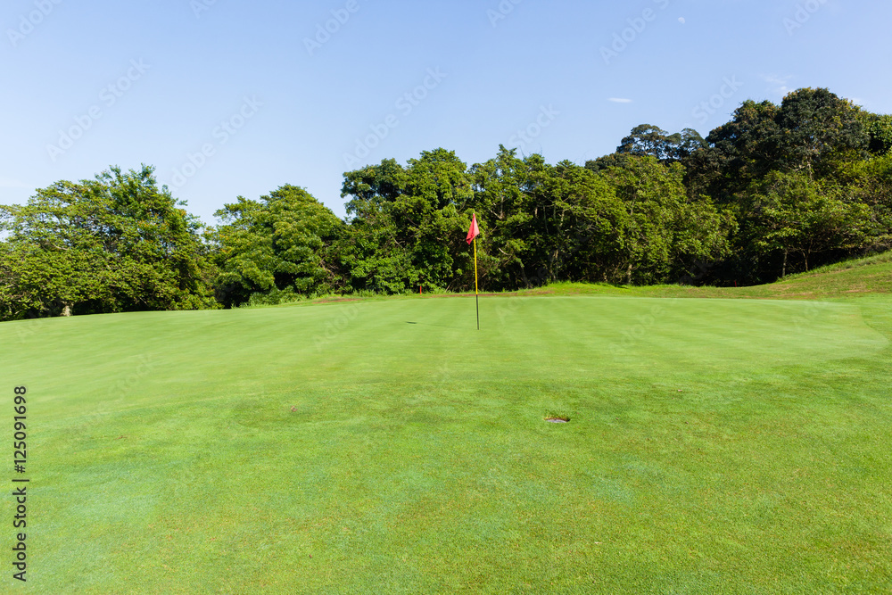 Fototapeta premium Golf Green Flag Stick