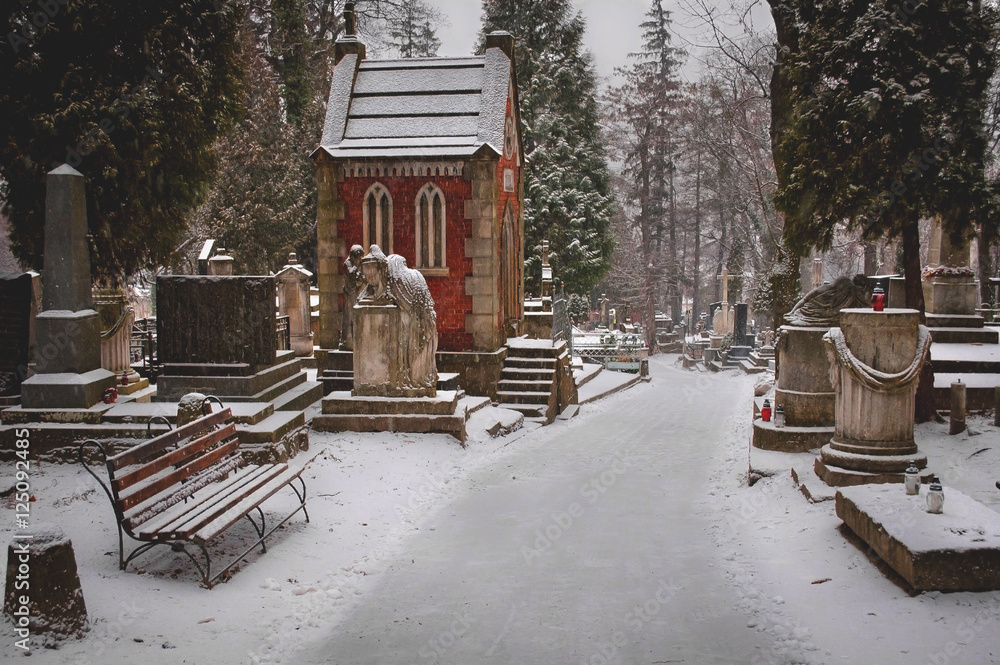 Snowfall on old cemetery