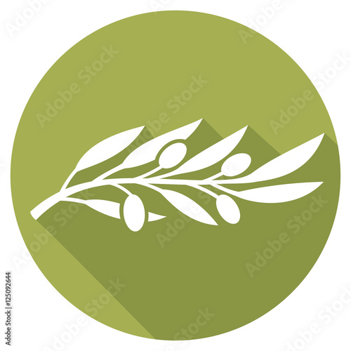 olive branch flat icon