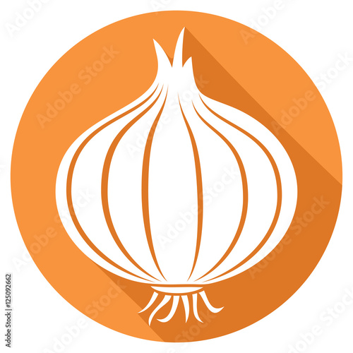 onion flat icon