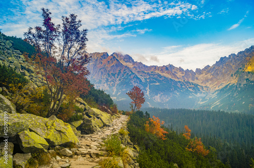 autumn in the mountains, Tatras, Slovakia 