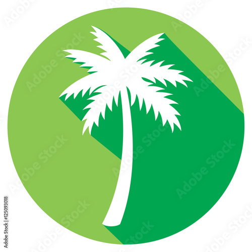 palm tree flat icon