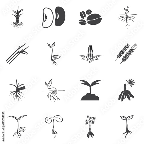 Set of four plant or leaf icons. Vector illustration