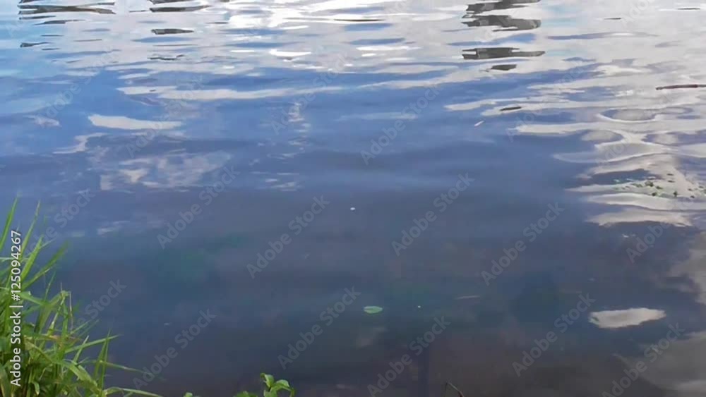 fließendes Gewässer fließendes Gewässer