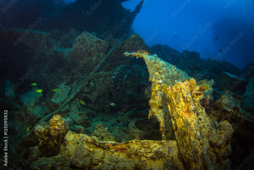 Obraz premium SS Thistlegorm