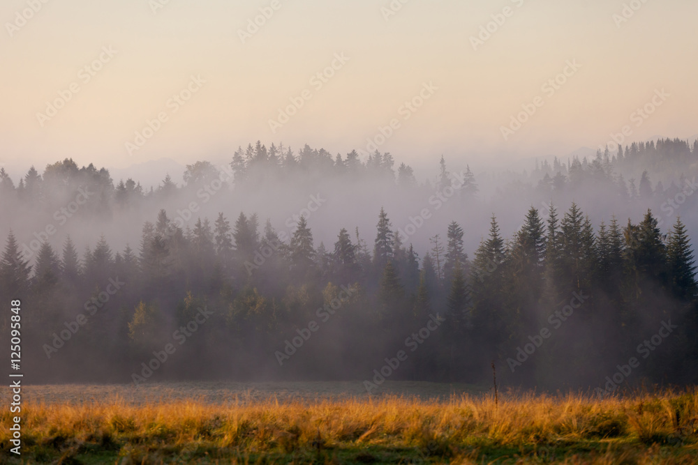 Beautiful sunrise fog in mountains Beautiful sunrise fog in mountains