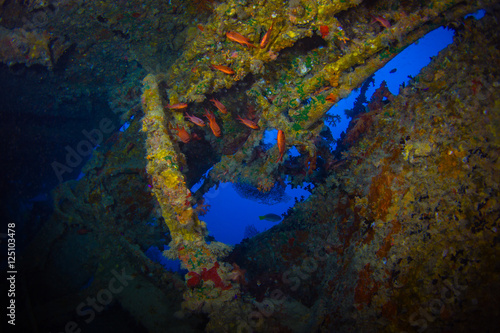 Wallpaper Mural SS Thistlegorm Torontodigital.ca