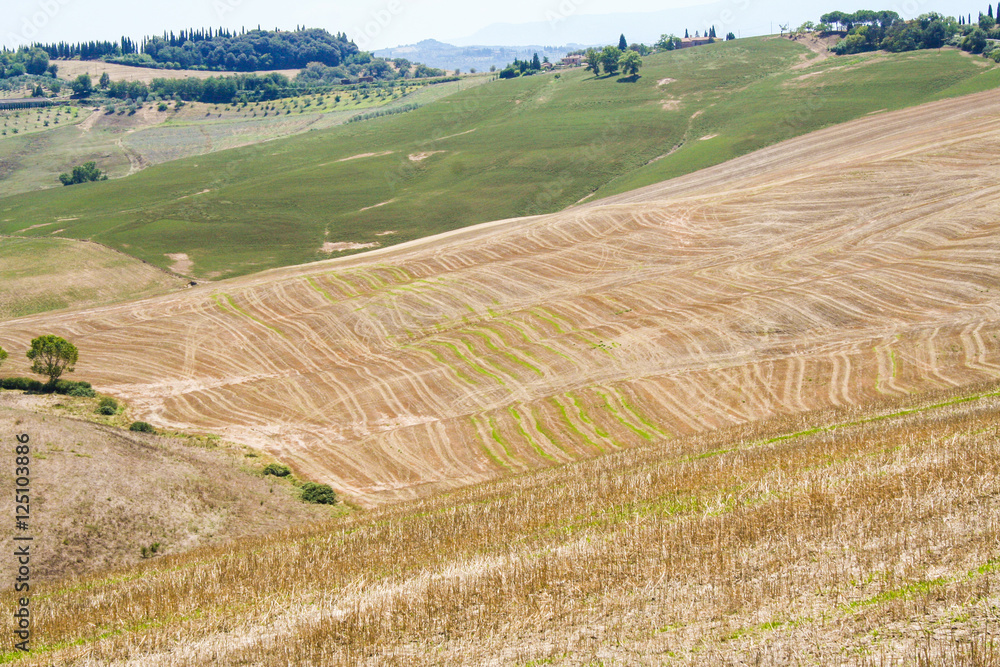 Tuscan countryside, Val d'Orcia, Siena, Italy Tuscan countryside, Val d'Orcia, Siena, Italy
