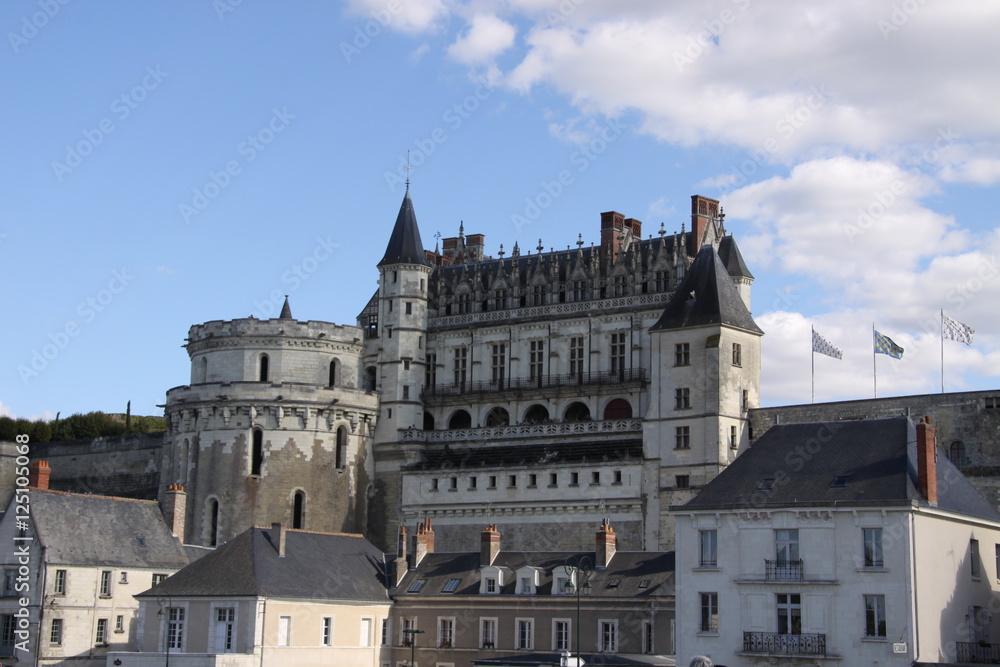Замок Амбуаз — историко-архитектурный комплекс во Франции. Возвышается над Луарой в городе Амбуаз, департамент Эндр и Луара.