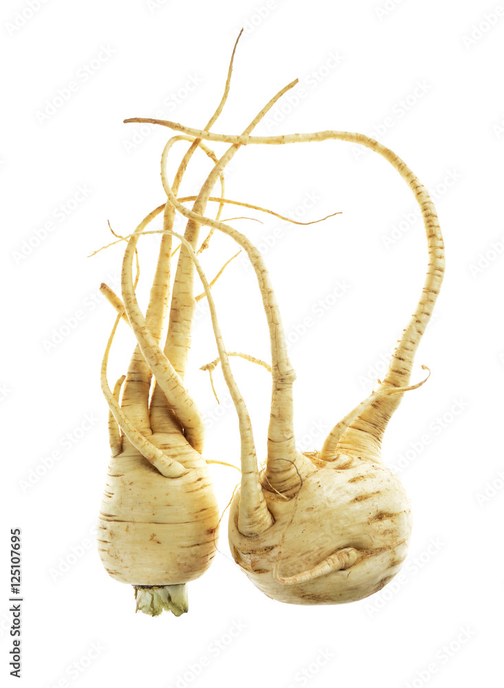 Fototapeta premium Fresh parsnips isolated on white background