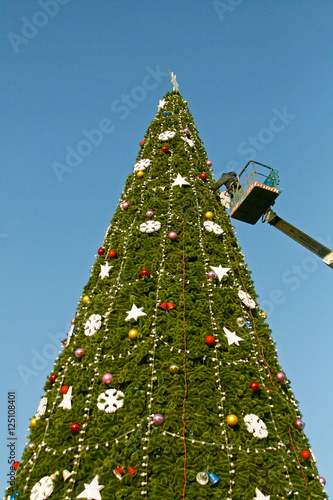  A worker decorates a Christmas tree  photo