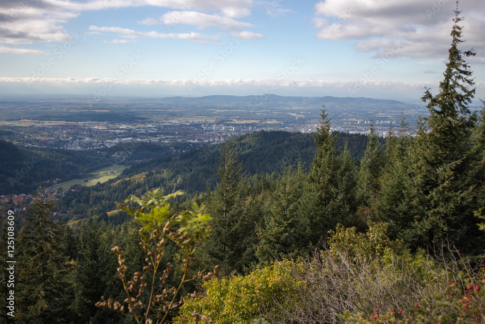 Aussicht auf Freiburg vom Kybfelsen