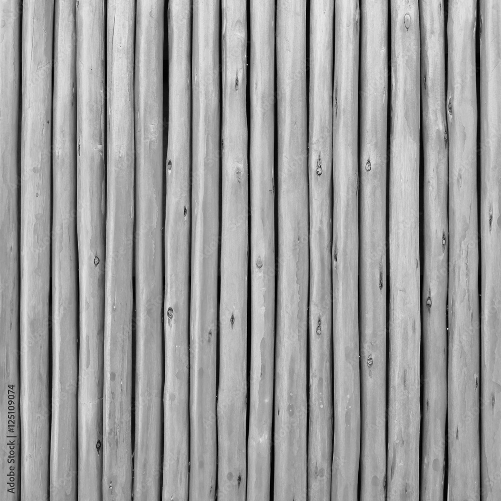 black and white wooden background