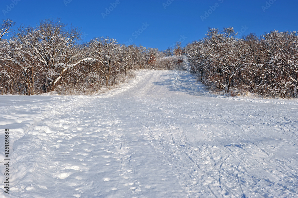 country road in the snow winter forest