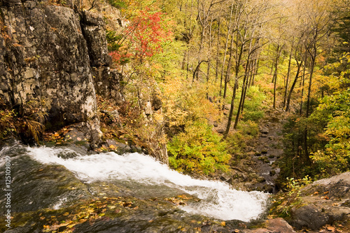 fall forest waterfall stream Elomovsky in russian Primorye