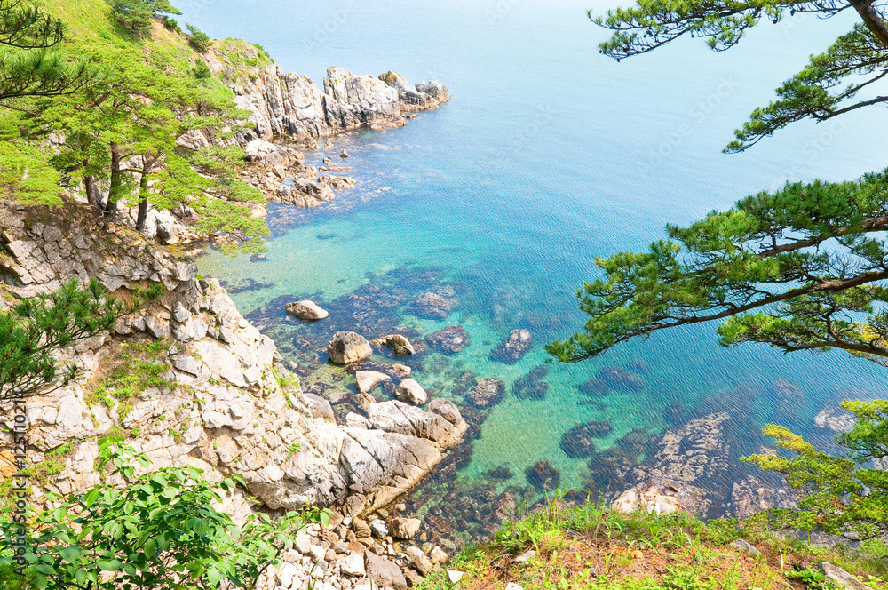 korean rock pines over the sea bay