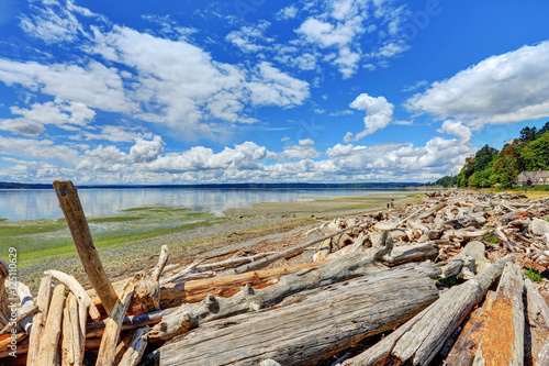 Driftwood logs litter the shoreline in Normandy Park, Washington © Iriana Shiyan