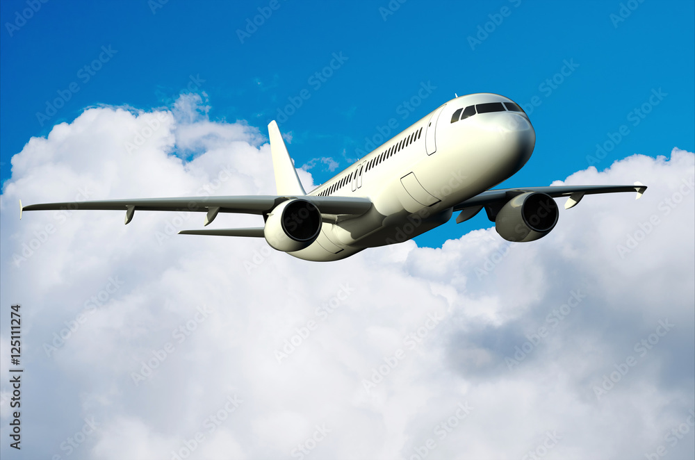 Fototapeta premium Flugzeug