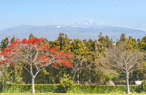 View of Hallasan mountain - symbol of Jeju-do island Korea photo