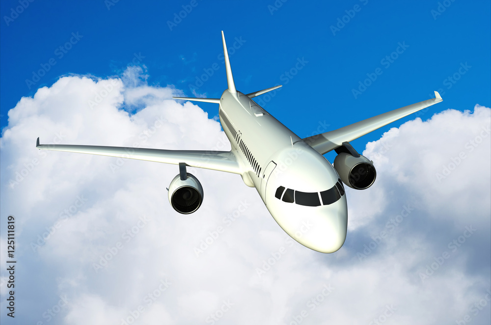 Fototapeta premium Flugzeug
