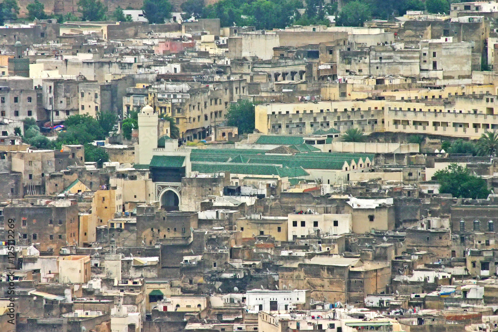 The University of Al-Karaouine among other buildings in the skyl