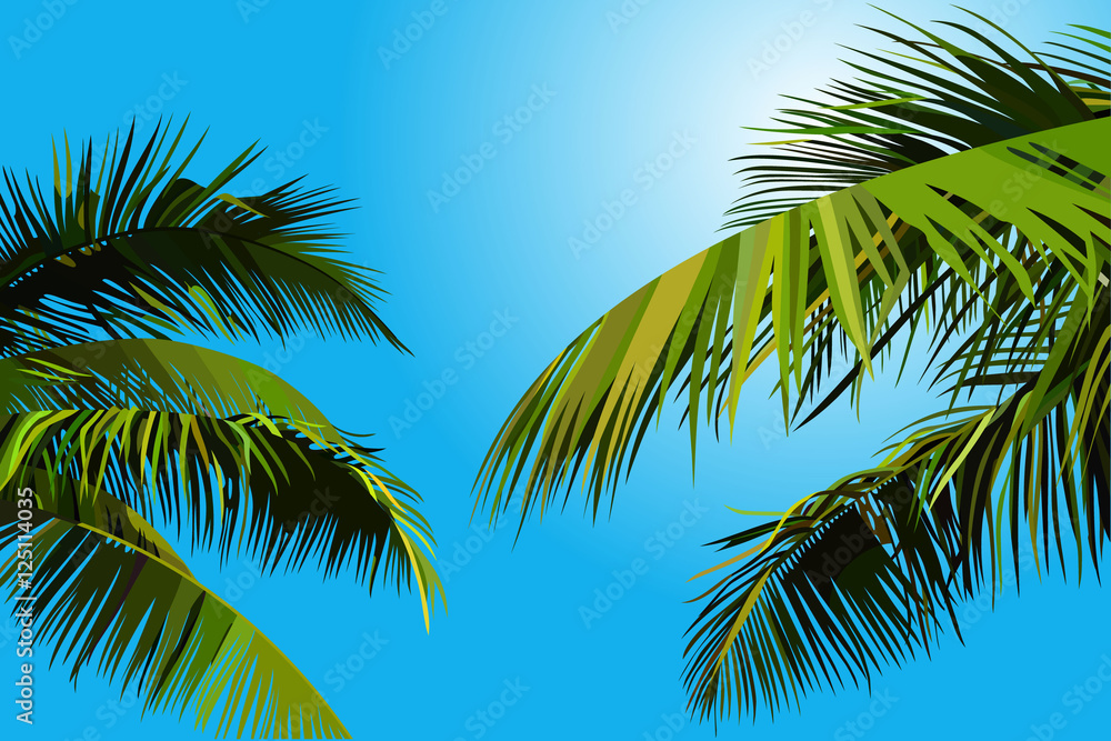 painted blue sky with palm leaves painted blue sky with palm leaves
