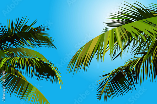 painted blue sky with palm leaves