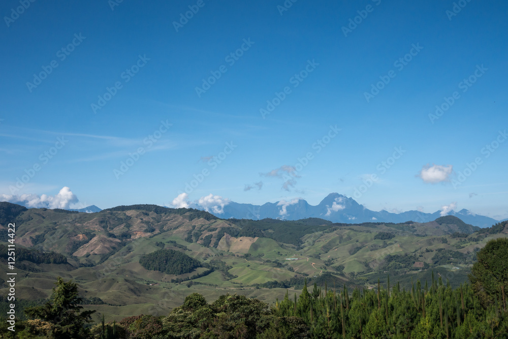 Fototapeta premium Countryside
